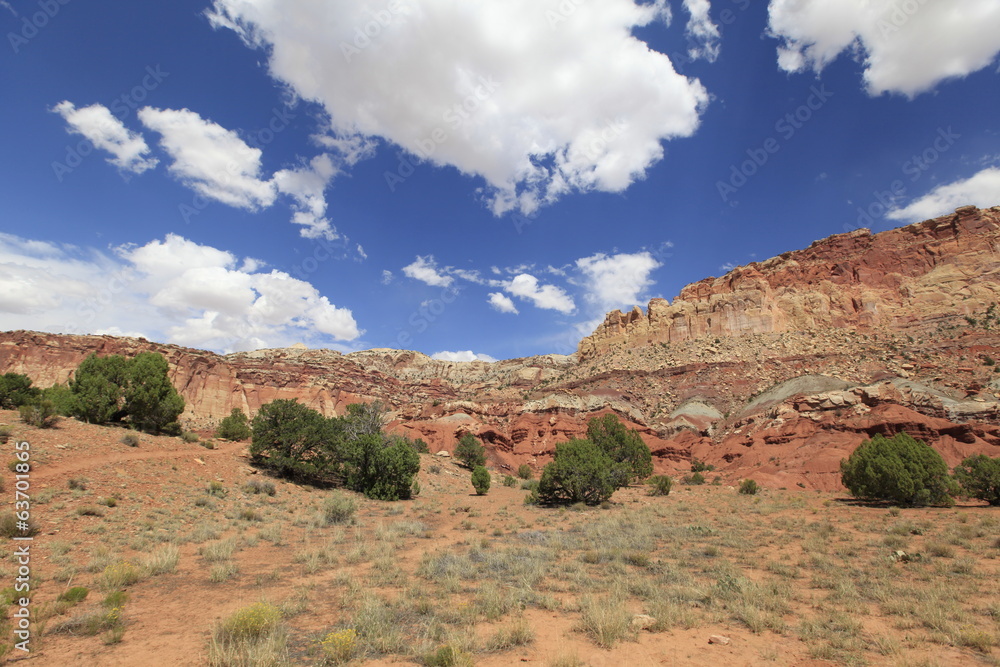 Canvas Prints capitol Reef