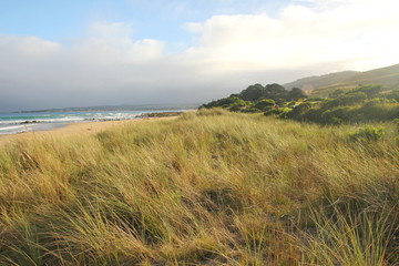 The Australian coast