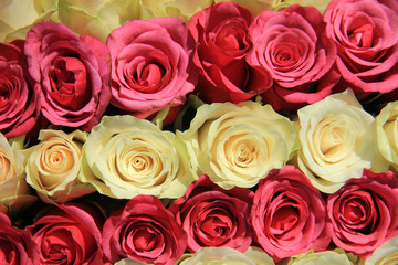 Pink roses in different shades in wedding arrangement
