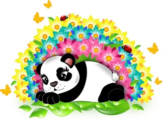 Obraz premium Panda with rainbow