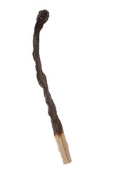 burned match isolated on white background