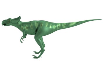 Obraz na płótnie Canvas realistic 3d render of microceratops