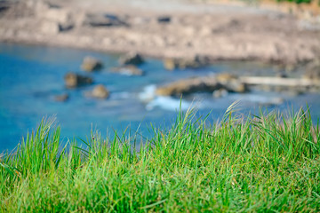 grass and sea