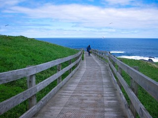 Obraz premium Wooden path to walk around an island