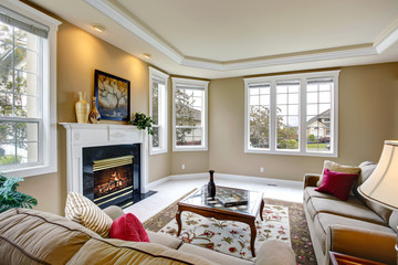Luxury living room interior