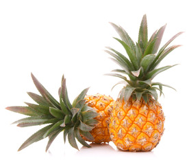 Pineapple tropical fruit or ananas