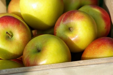 Äpfel