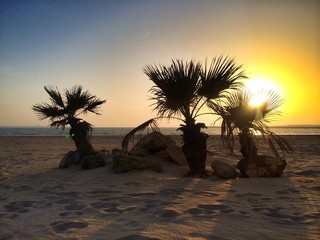 Beautiful sunset in a tropical beach