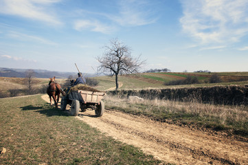 Obraz premium Horse with a cart
