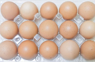 Eggs