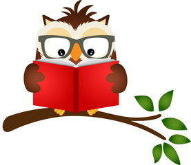 Obraz premium Owl reading a book on tree branch