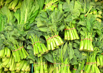 Fototapeta premium Chinese Broccoli