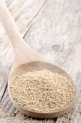 dried active yeast on a spoon