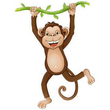 Illustration of a monkey hanging on a vine