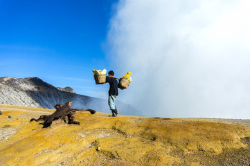 sulphur worker