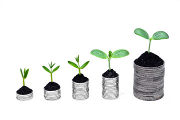 Fototapeta na wymiar warkocz rosnące na monety / CSR / zrównoważonego rozwoju