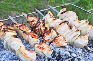 Shish kebab on skewers and hot coals