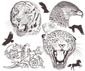 Collection of vector high detailed animals for design