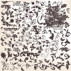 Obraz na płótnie Canvas Collection of vector vintage decorative flourishes and swirls fo