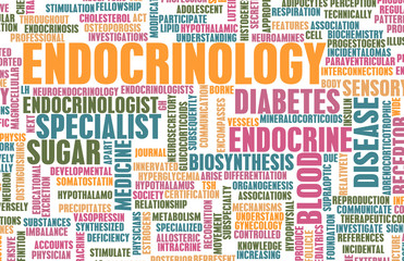 Fototapeta premium Endocrinology