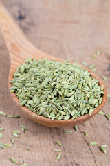 fennel seed in a wooden spoon on table