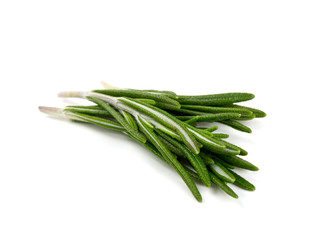 twigs of rosemary isolated on white
