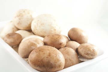 Fresh mushrooms