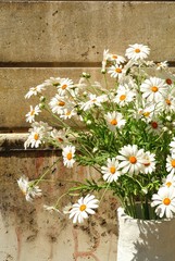 Obraz premium Glass of daisies