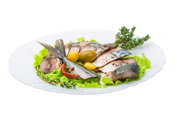 Mackerels