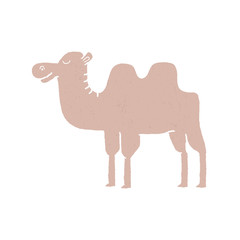 camel cartoon - vector