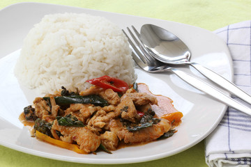 Chicken panang curry with rice