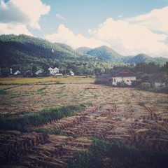 Naklejka premium Village in Thailand