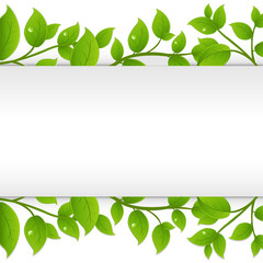 Background With Green Branches