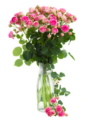 posy fresh pink roses