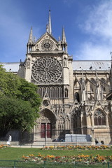 Obraz premium Notre-Dame de Paris - Ile de la cité