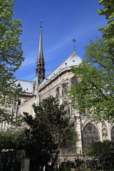 Fototapeta na wymiar Notre-Dame de Paris - Ile de la cité
