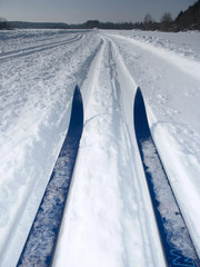 langlaufski im schnee