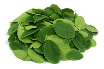 Moringa leaves