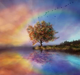 Wall murals Salmon Landscape with rainbow