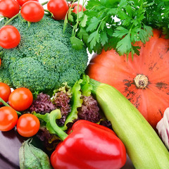 bright background of various vegetables