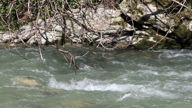 Russia, Krasnodar region, Khosta district, mountain river Khosta