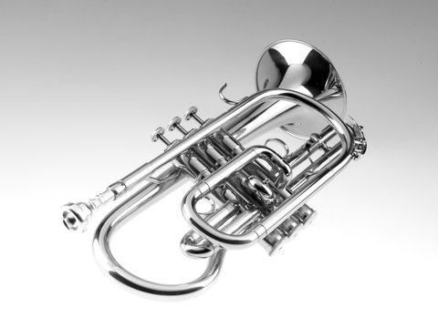 Trumpet Cornet