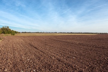 Agricultural field with soil and sky