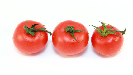 frische Tomaten