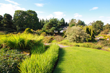 Beautiful summer garden
