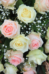 Pink and white roses