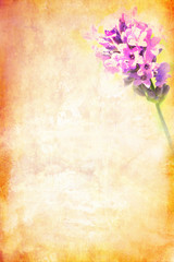 Grungy background with lavender