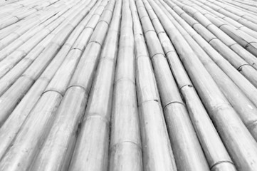 Dry bamboo stalks - monochrome