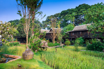 Obraz premium Green rice field in the villa,Thailand