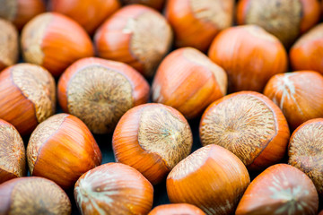 Hazelnuts as background. Selective focus. Soft light.